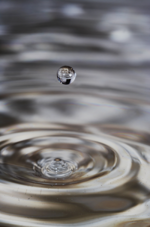Immerse yourself. Notice the ripple in those around you.
